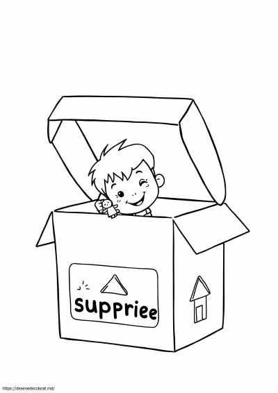 Carton