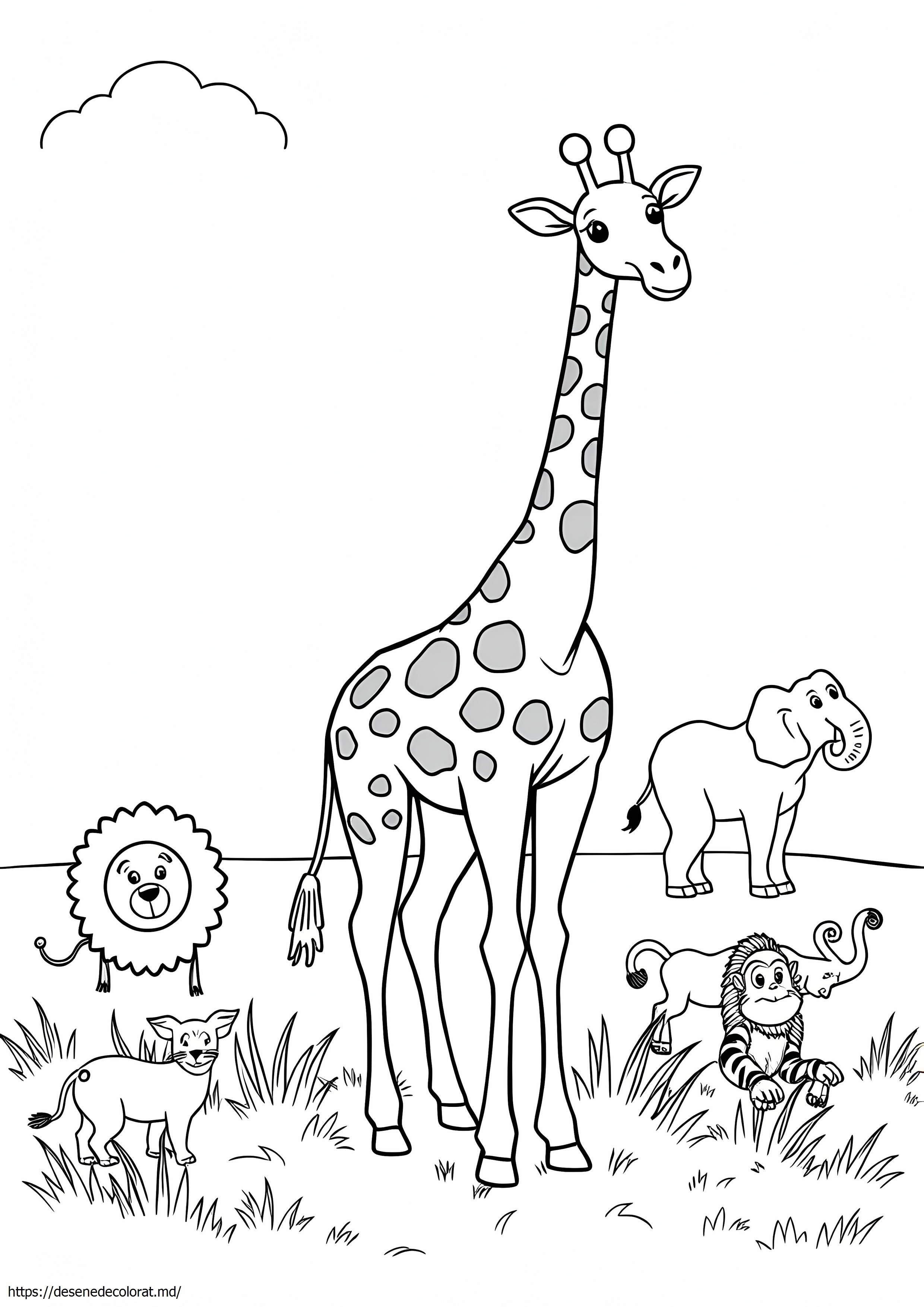 Safari usor
