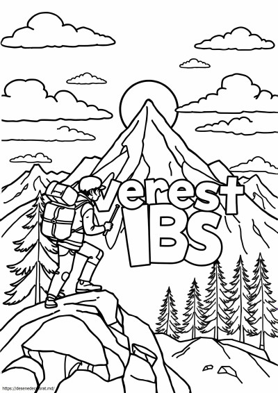 Everest vbs
