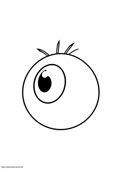 Globul ocular