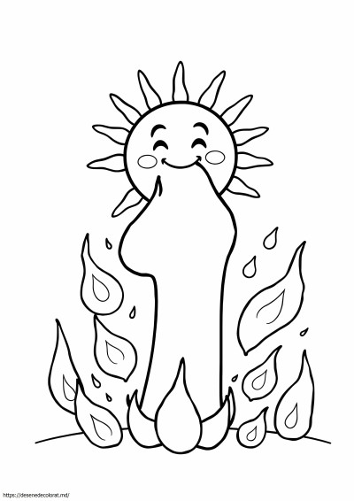 Foc