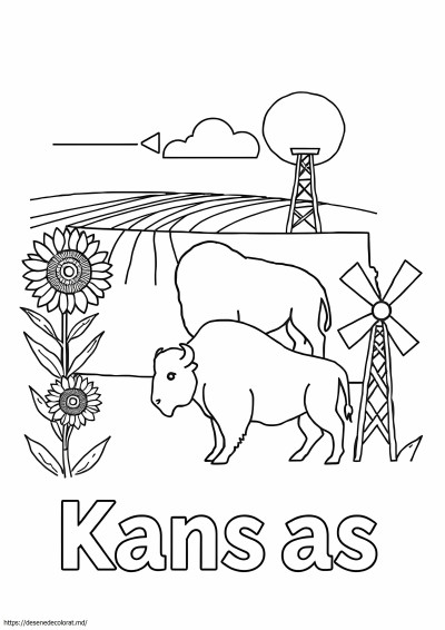 Simboluri kansas