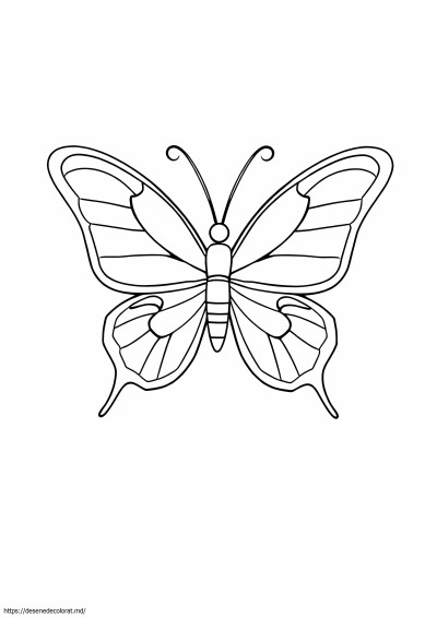 Schita fluture pentru