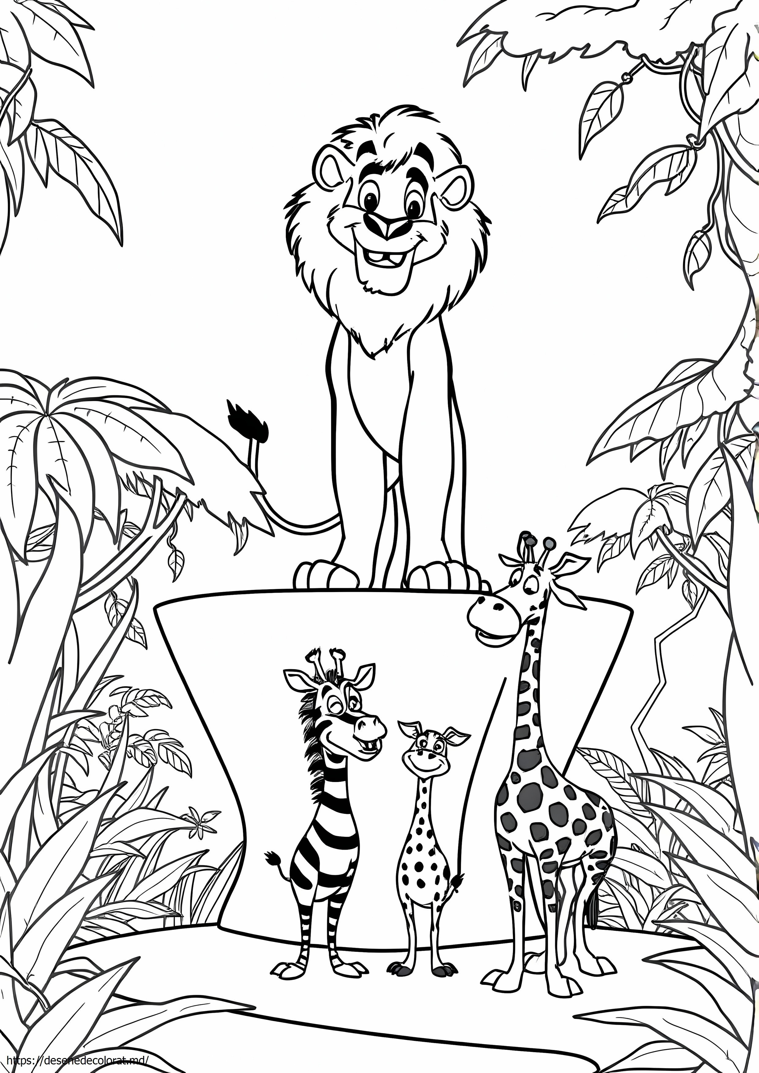 Film madagascar