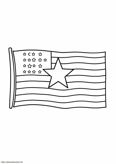 Steagul national