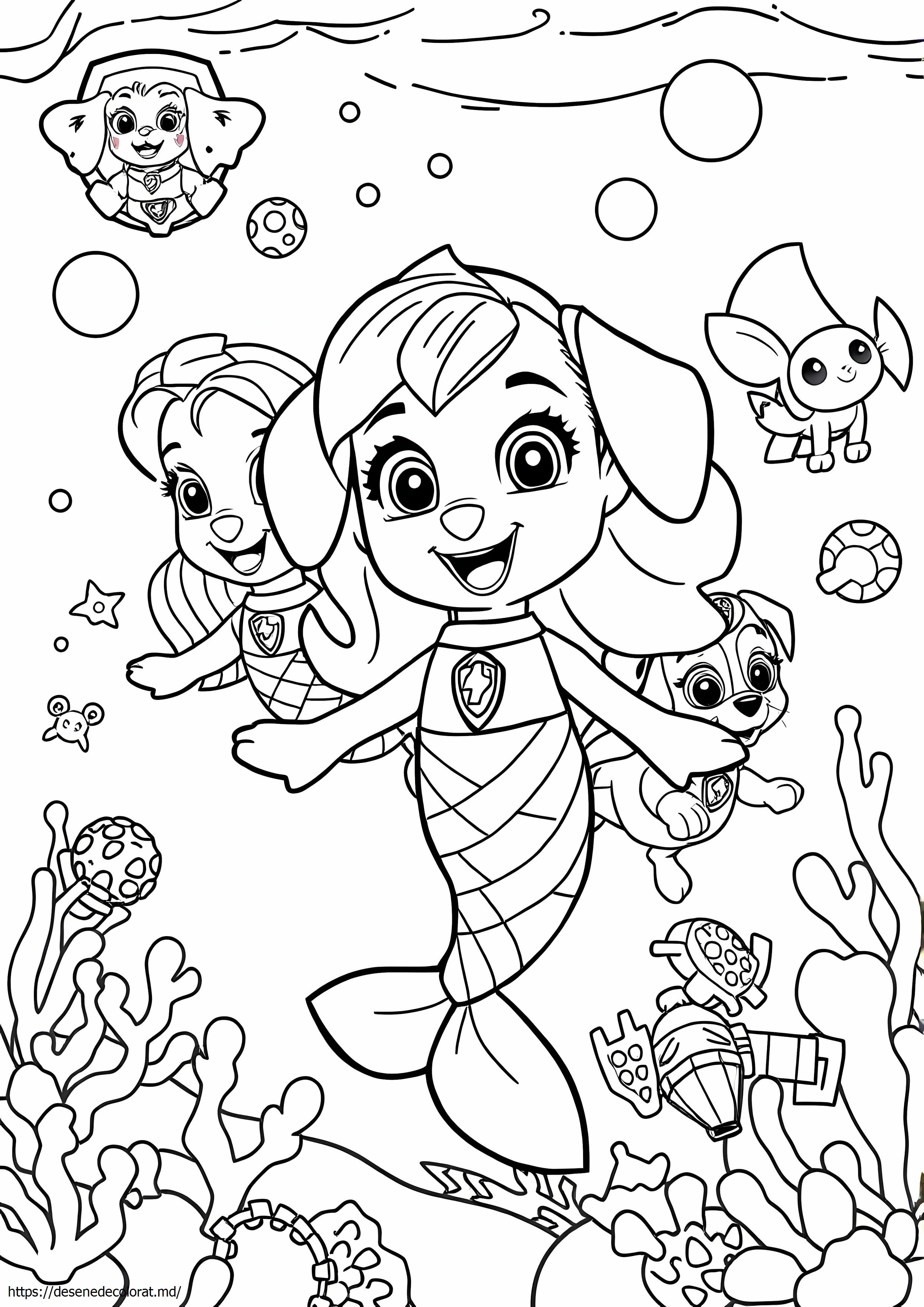 Sirena patrula labe