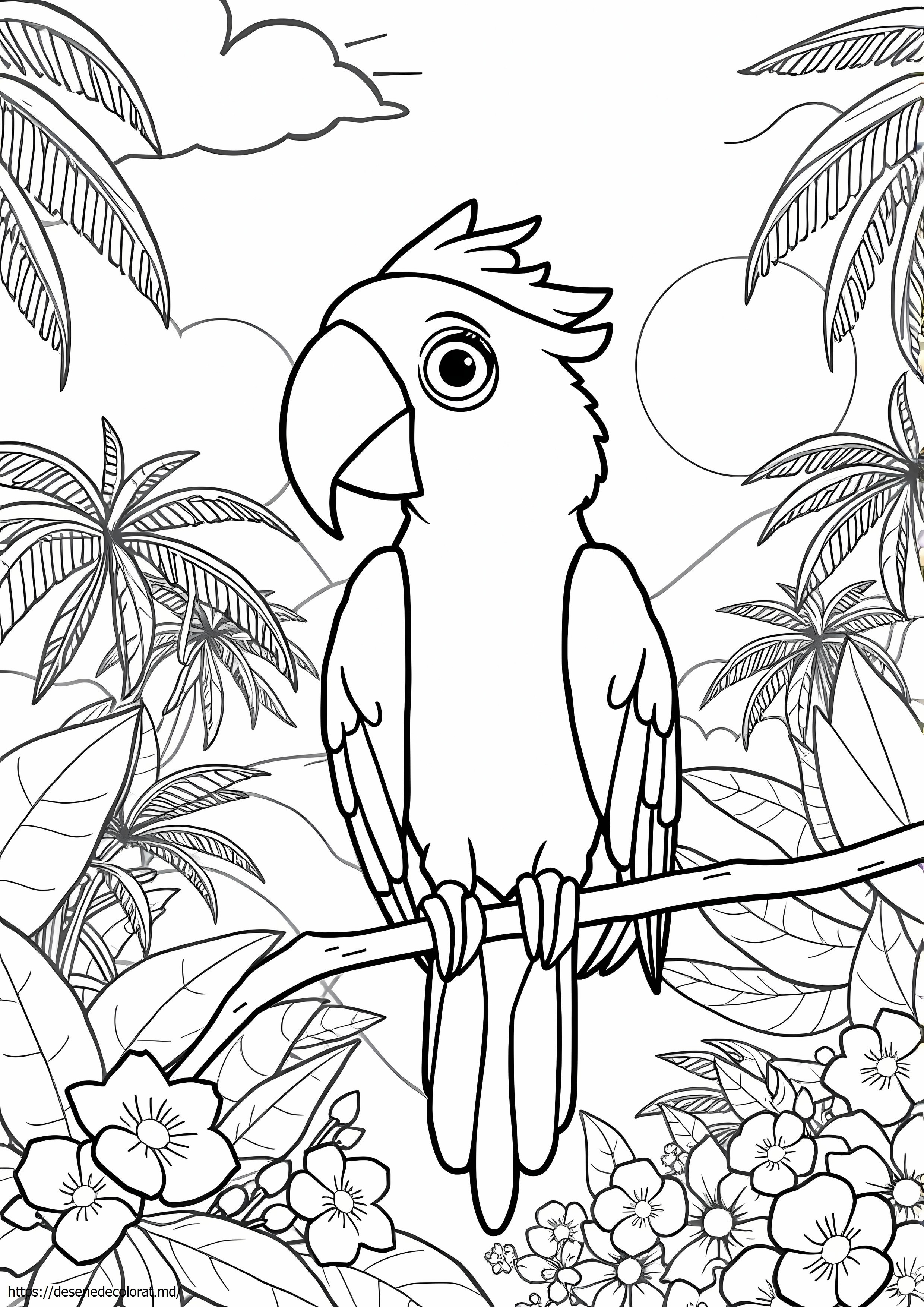 Rio