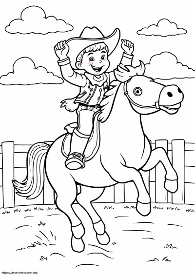 Rodeo western