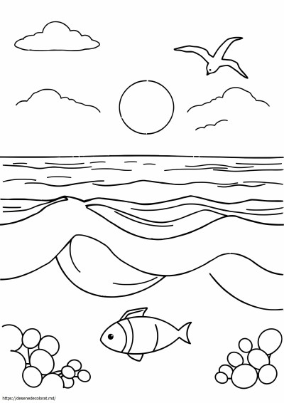 Ocean simplu