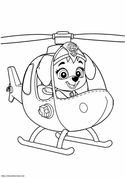 Elicopter skye