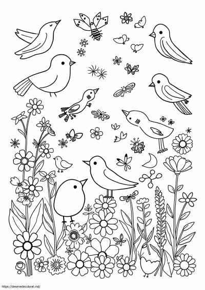 Desene dragute de colorat