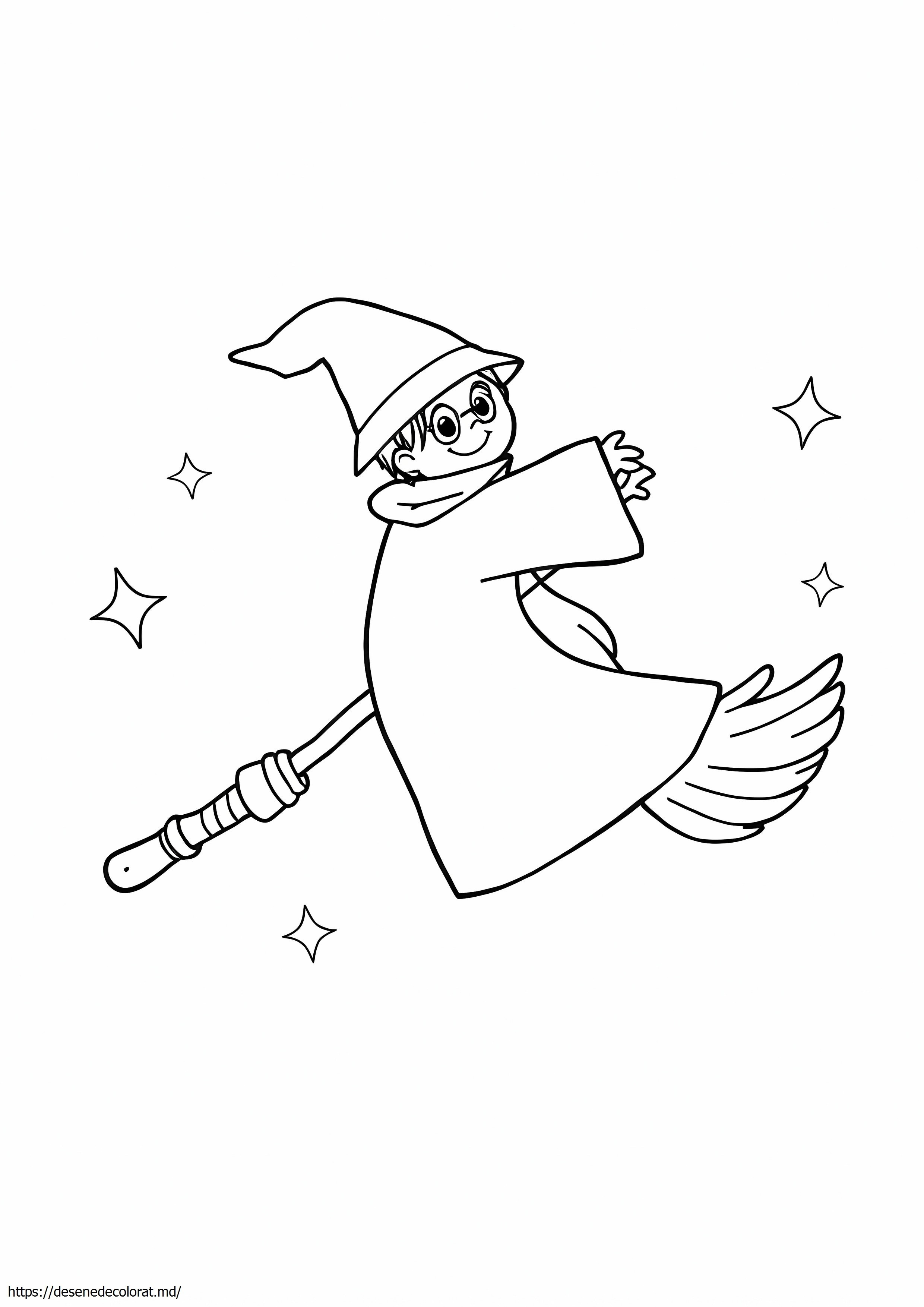 Mătură harry potter