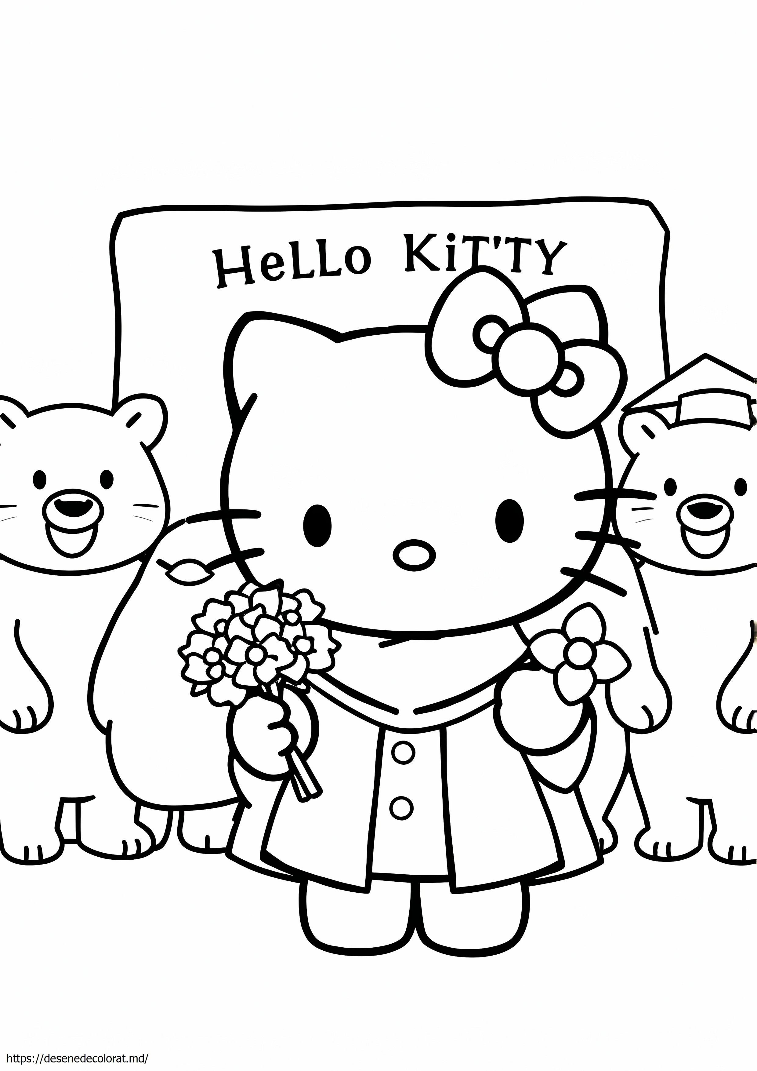 Hello kitty absolvire