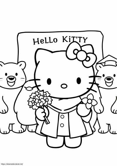 Hello kitty absolvire