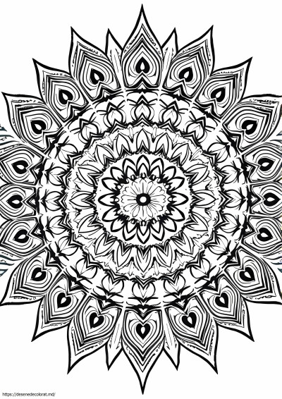 Mandala extremă