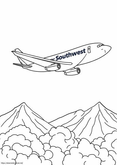 Avion de sud-vest