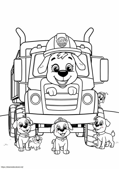 Pui mari de camion