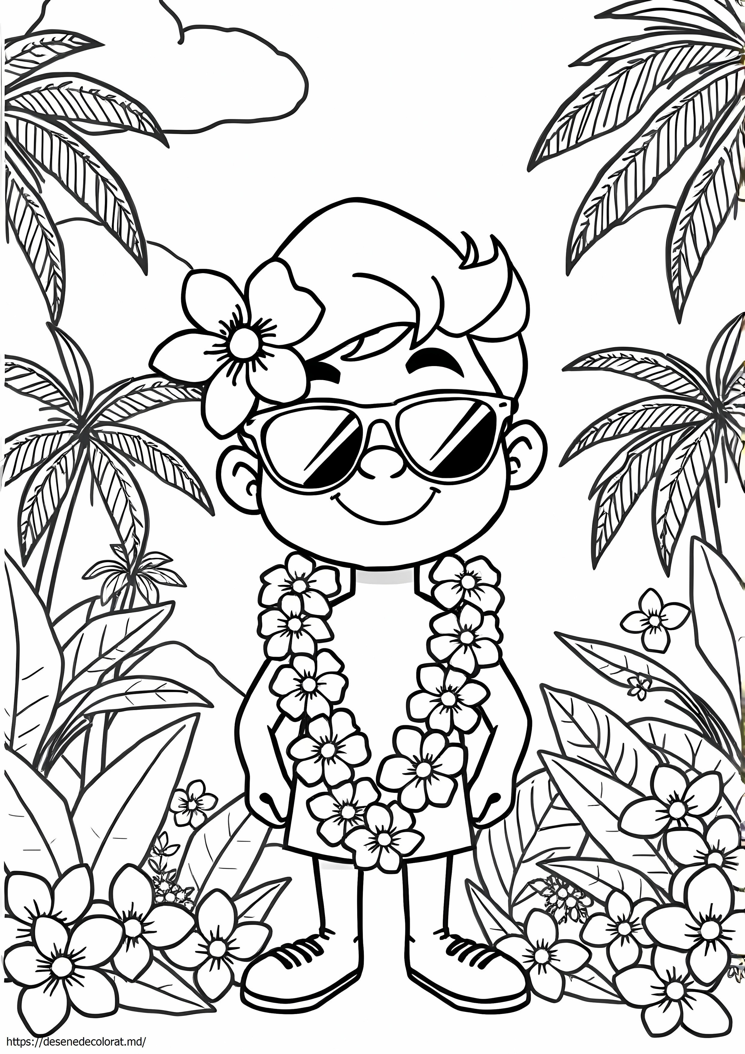 Maui usor