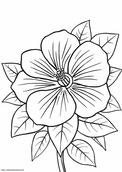 Floare hawaiană