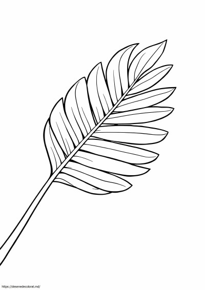 Frunza de palmier