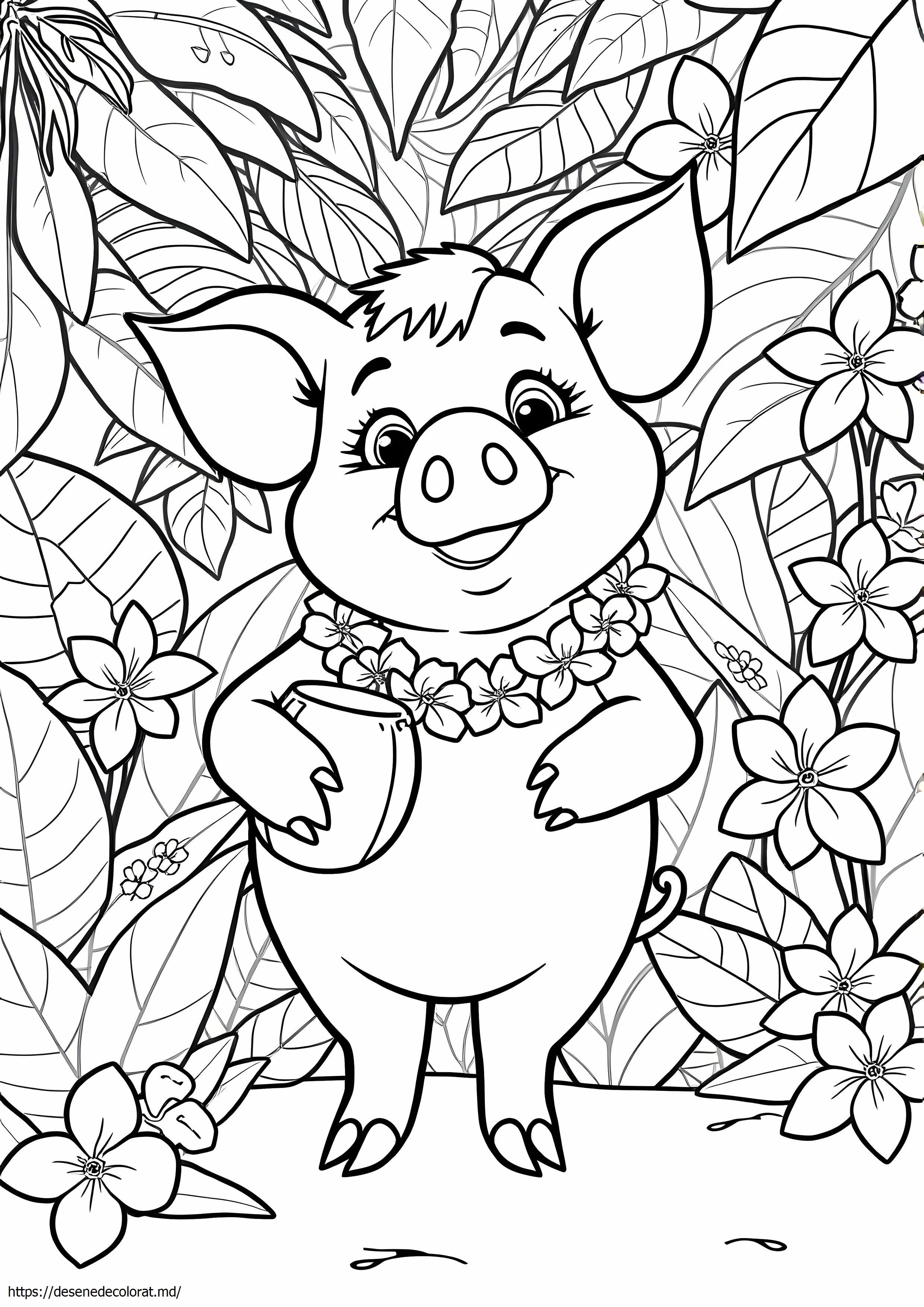 Pua