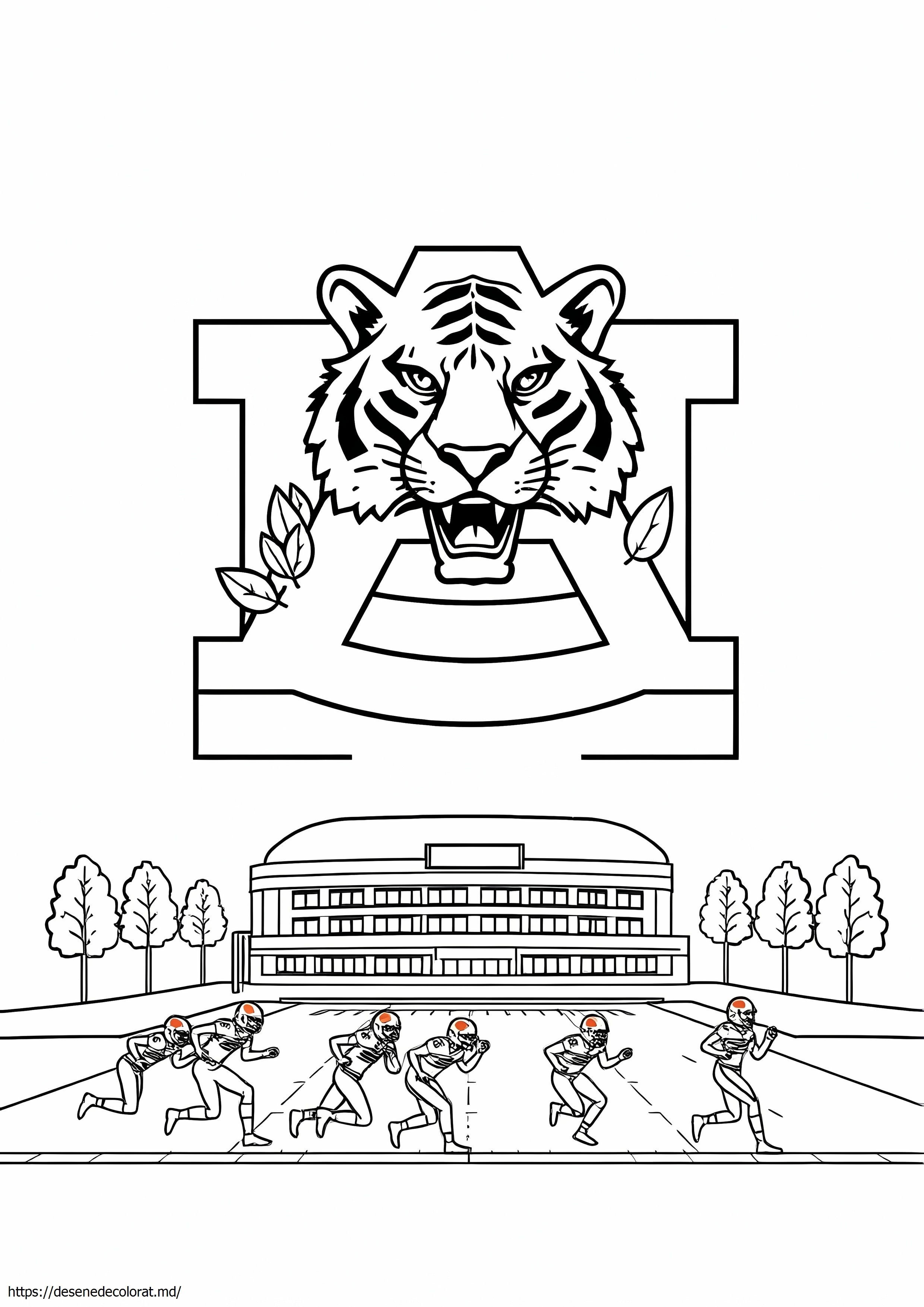 Universitatea auburn