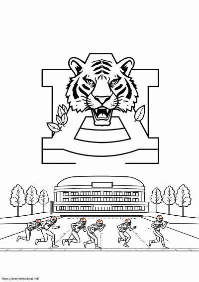 Universitatea auburn
