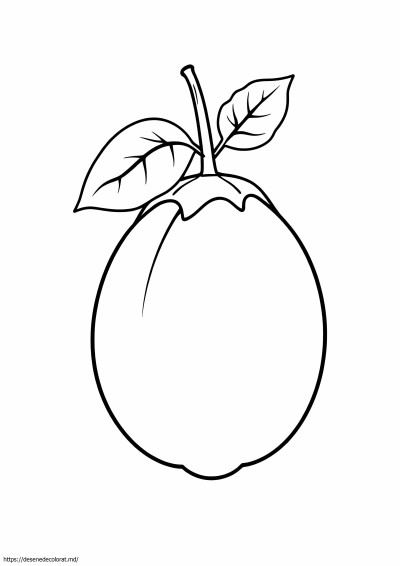 Brinjal