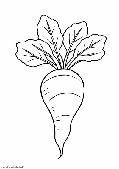 Sfeclă