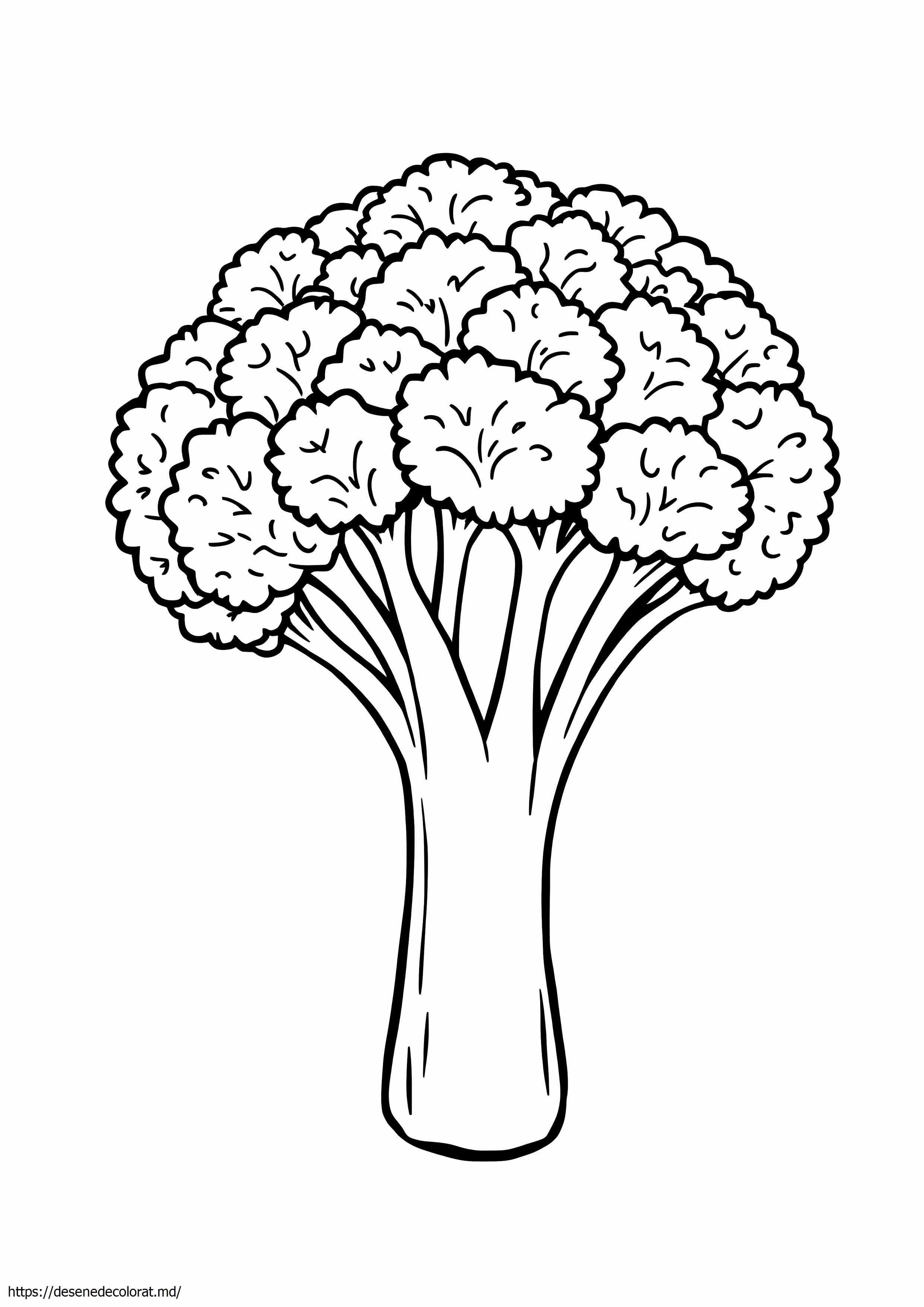 Brocoli