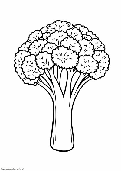 Brocoli