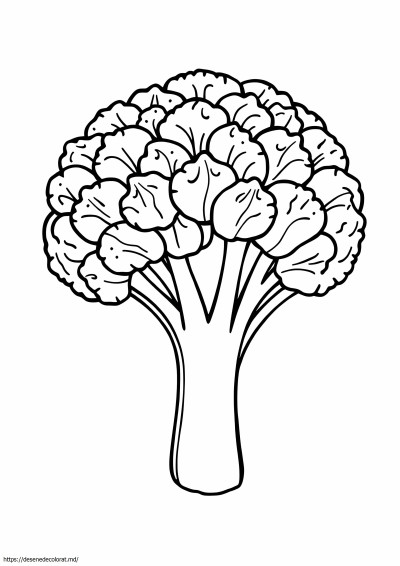 Brocoli
