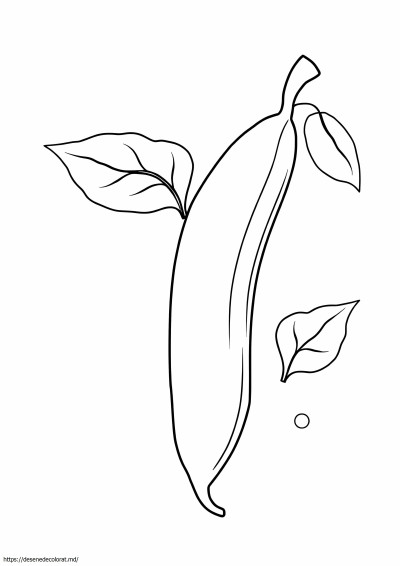 Fasole verde