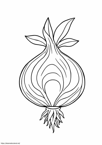 Ceapă