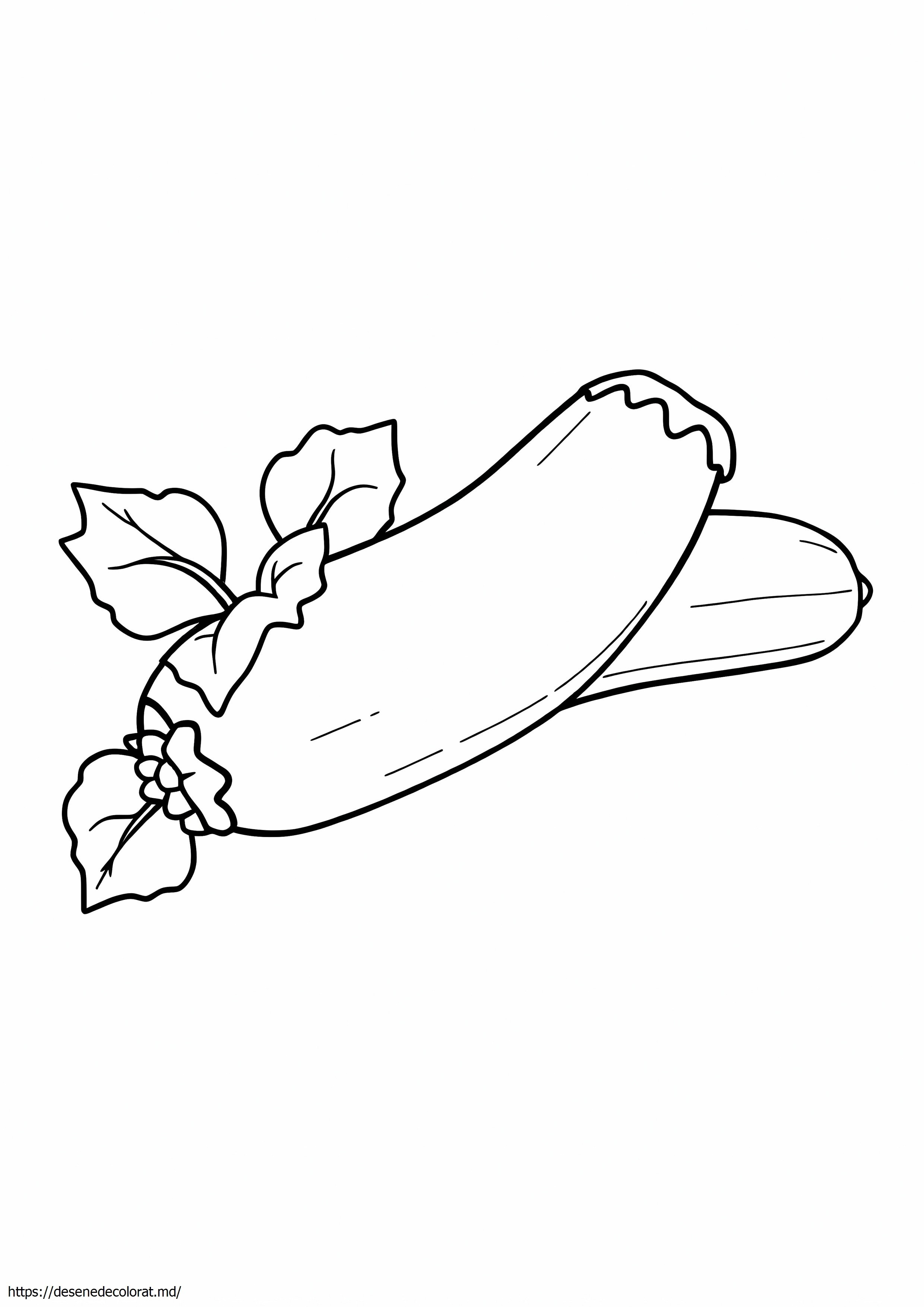 Zucchini