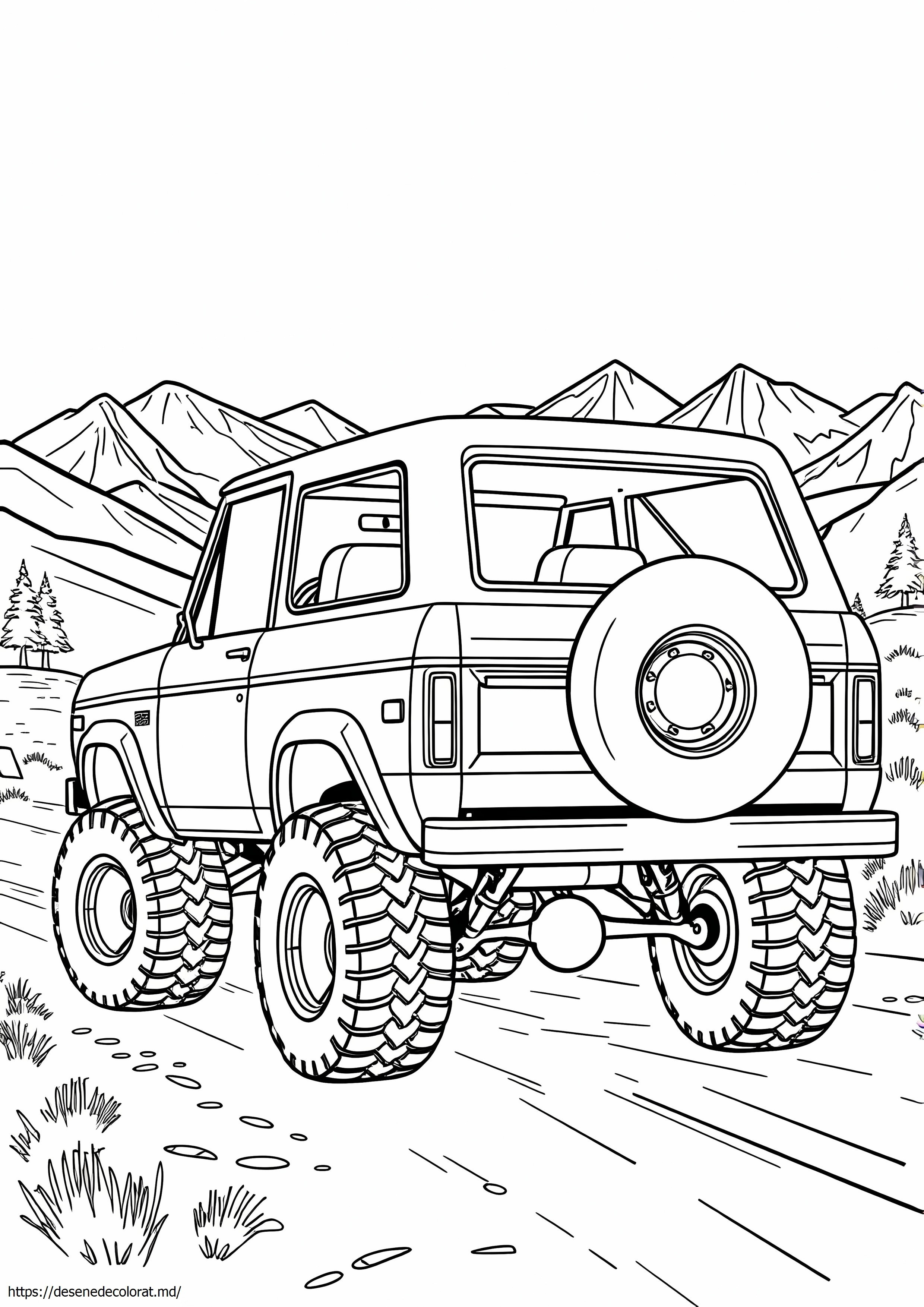 78 ford bronco