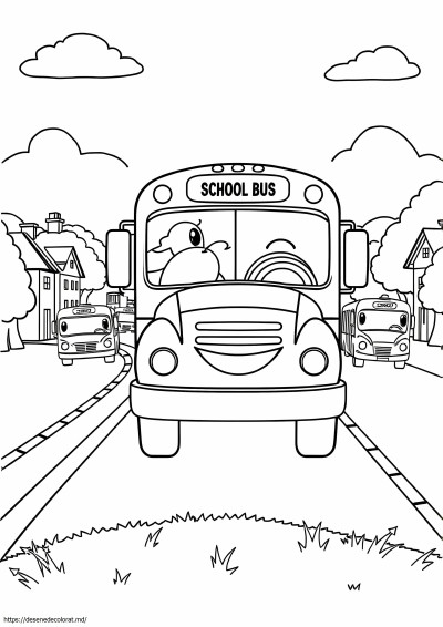Autobuze
