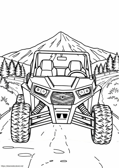 Polaris rzr