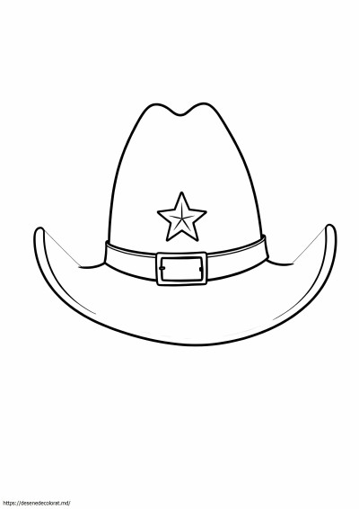 Casca de cowboy