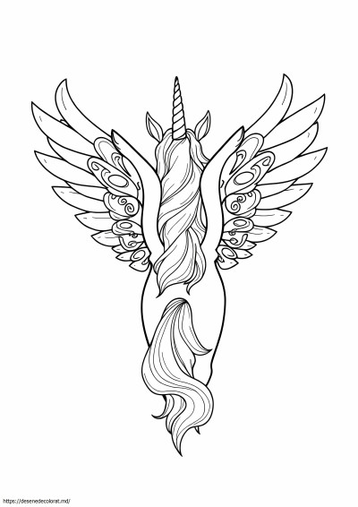 Aripi de unicorn