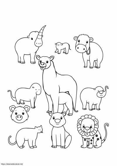 9 animale