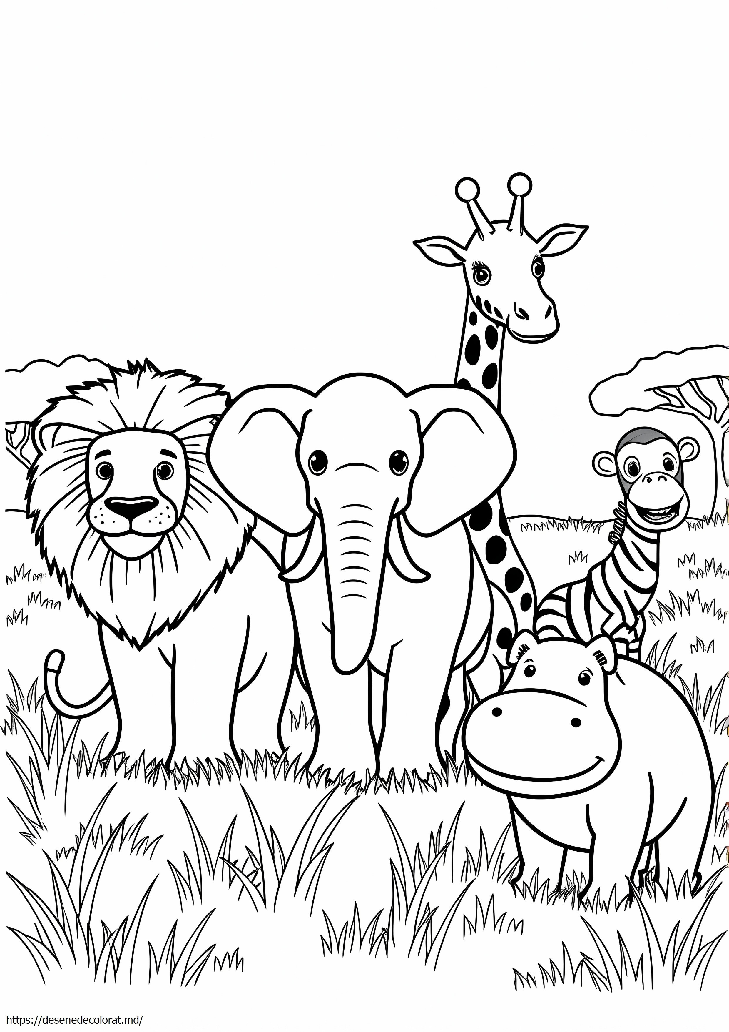 Animale din Africa