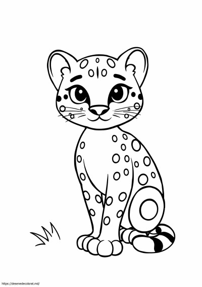 Adăugați pete la ocelot