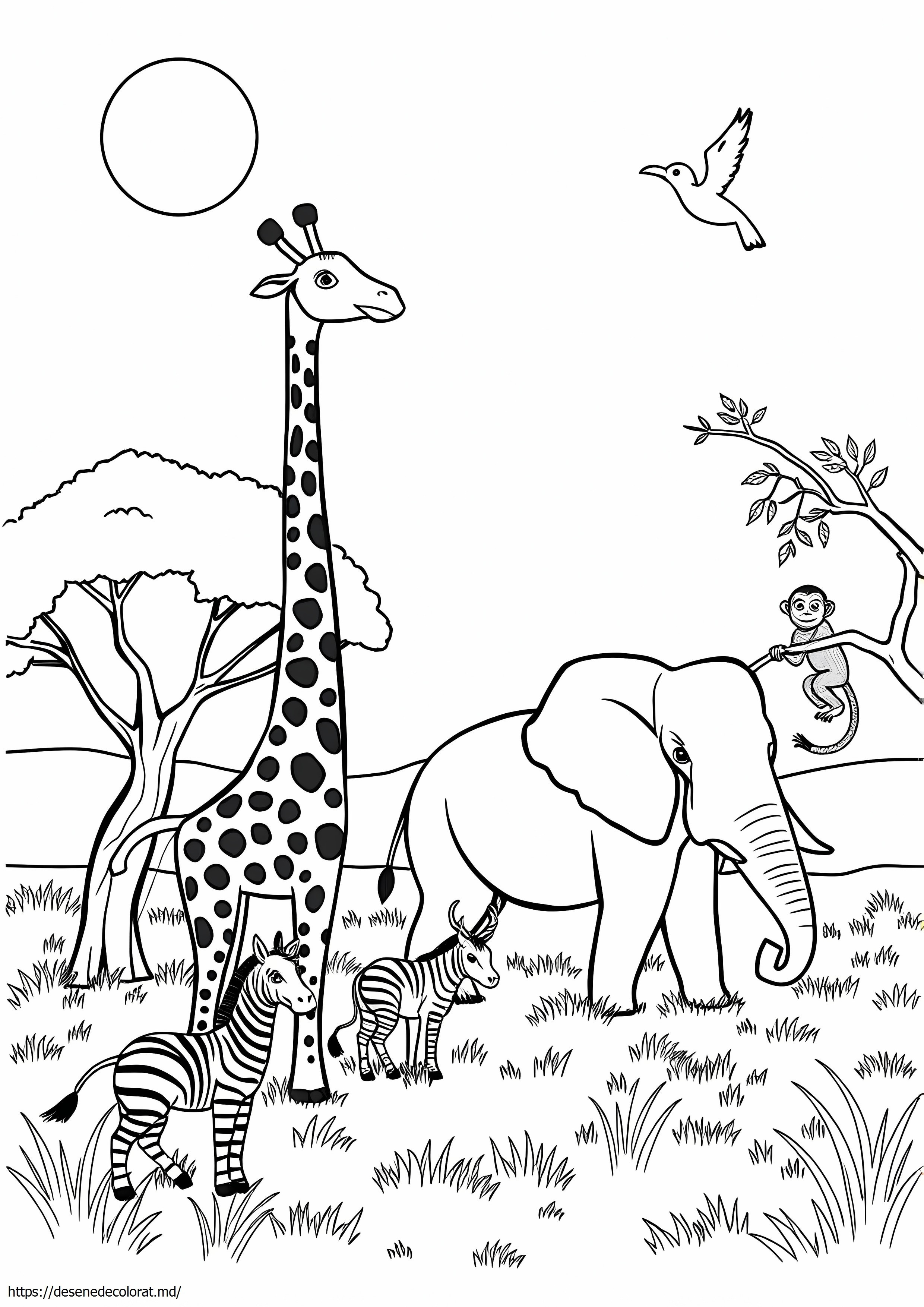 Animale africane