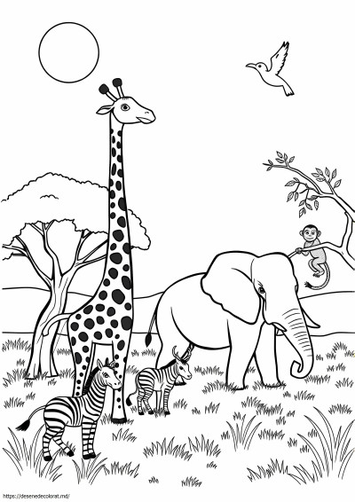 Animale africane