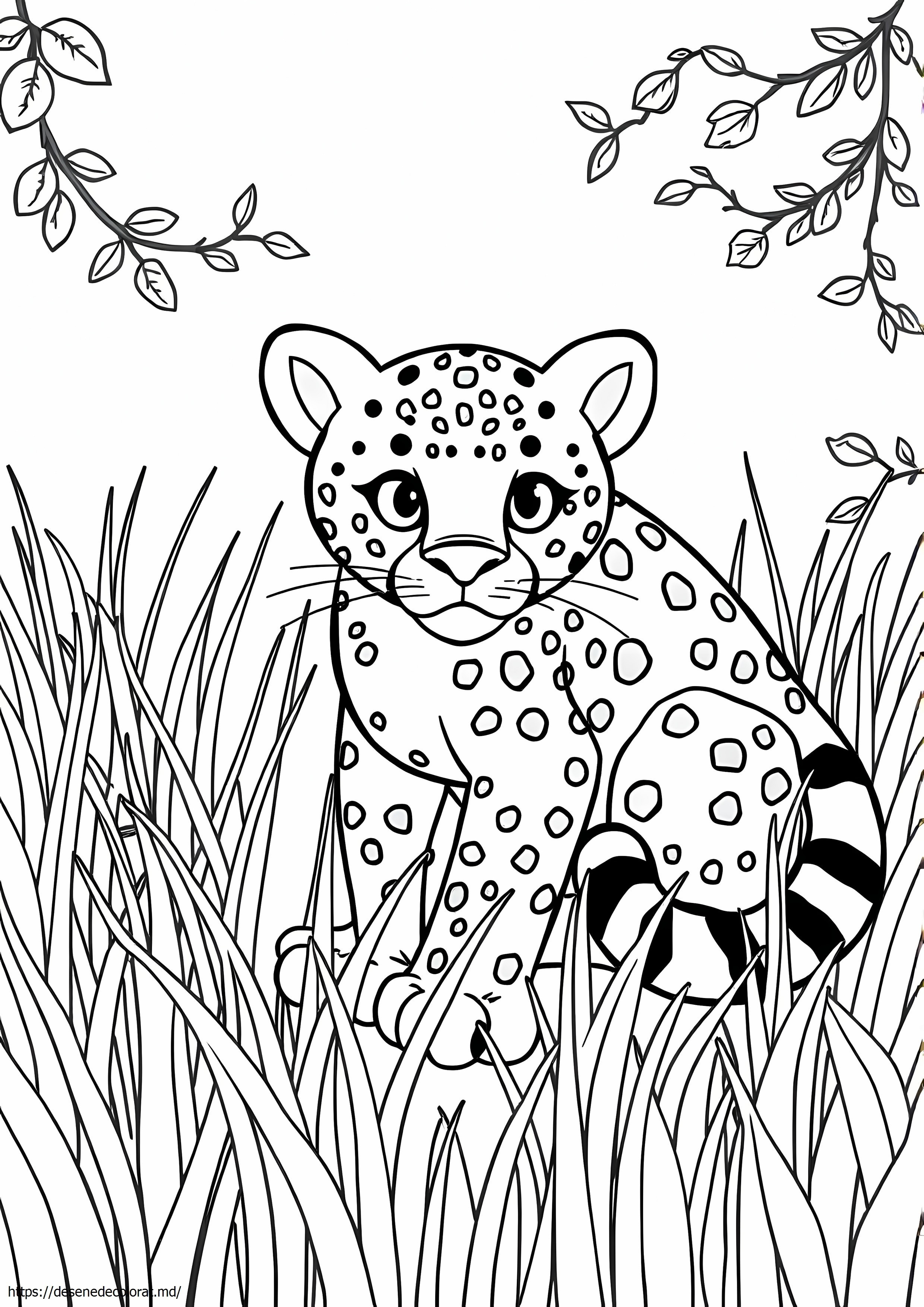 Leopard de amur