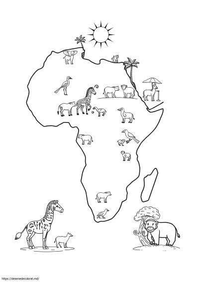 Animale din Africa