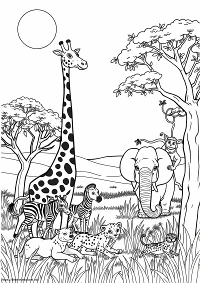 Safari