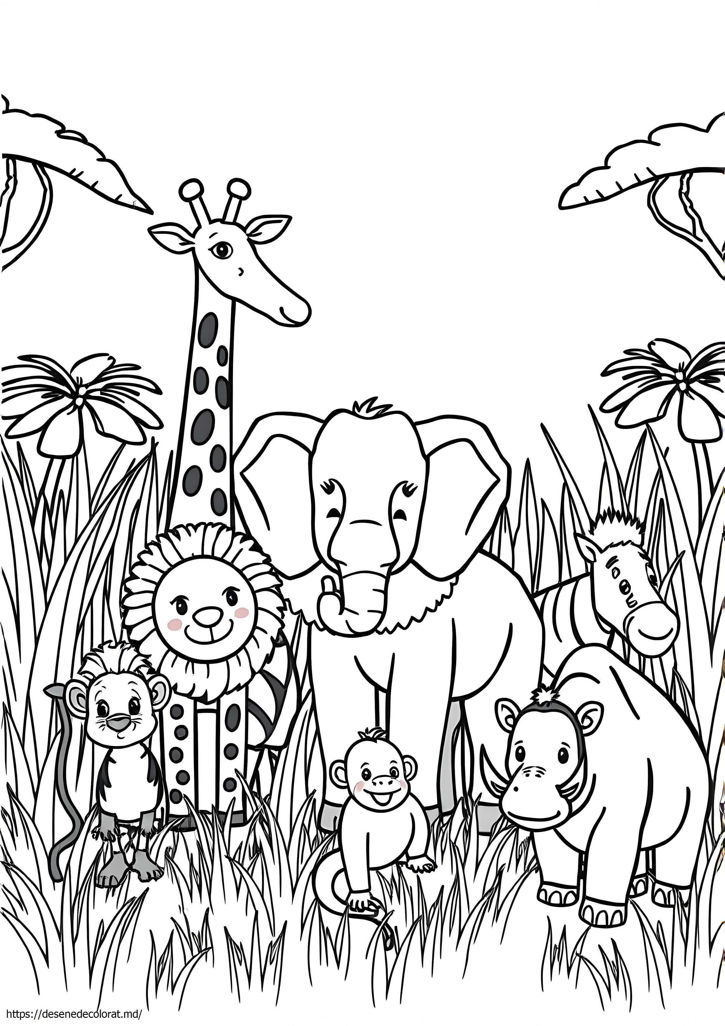 Animale de safari
