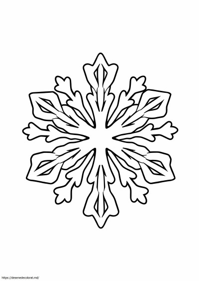 Fulg de zăpadă